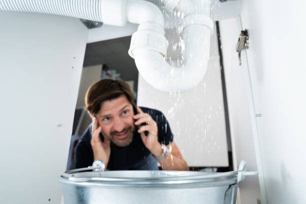 Best Best Plumbers Near Me  in Burr Ridge, IL
