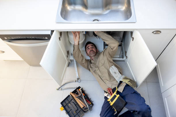 Best Local Plumber Services  in Burr Ridge, IL
