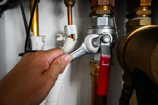 Best Plumbing Services Near Me  in Burr Ridge, IL